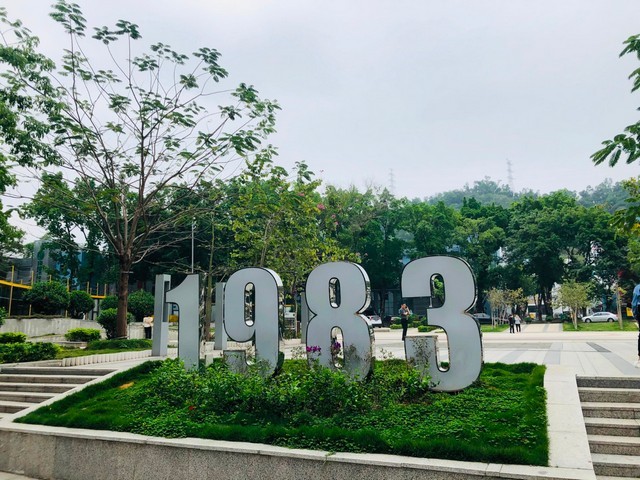 牡蛎玫瑰变色菌菌株